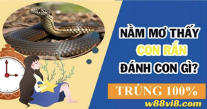 Nằm mơ thấy rắn