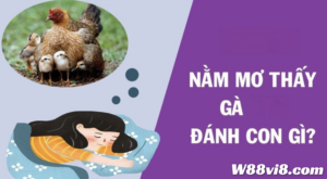 Nằm mơ thấy gà đánh con gì