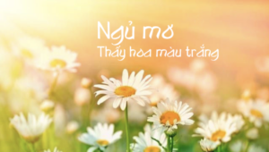 nằm mơ thấy hoa màu trắng