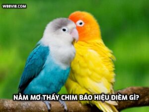 Nằm mơ thấy chim báo hiệu điềm gì? Đánh con nào?