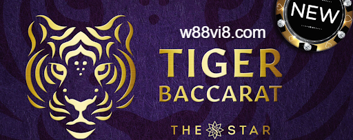 Giới thiệu game Tiger Baccarat